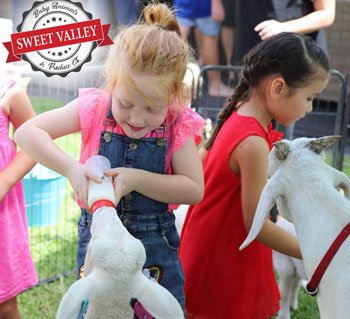 Sweet Valley Farm Party