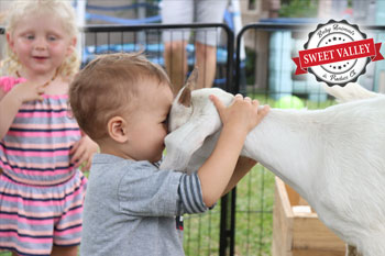 Sweet Valley Farm Party