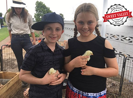 Sweet Valley Farm Party